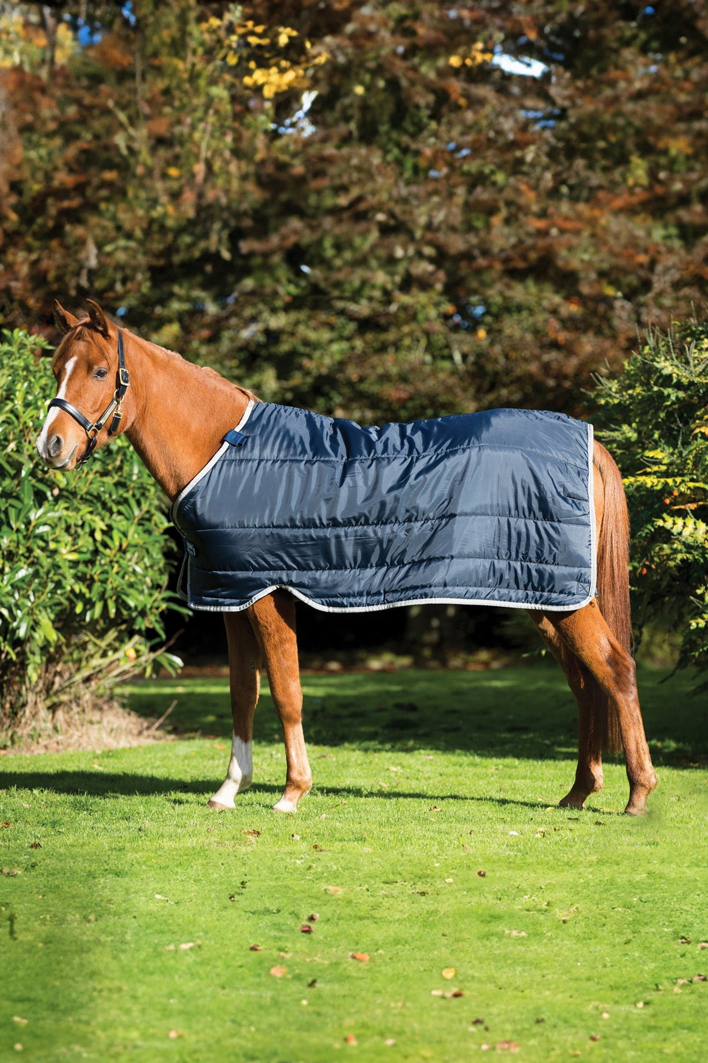Liner Ponny 200g