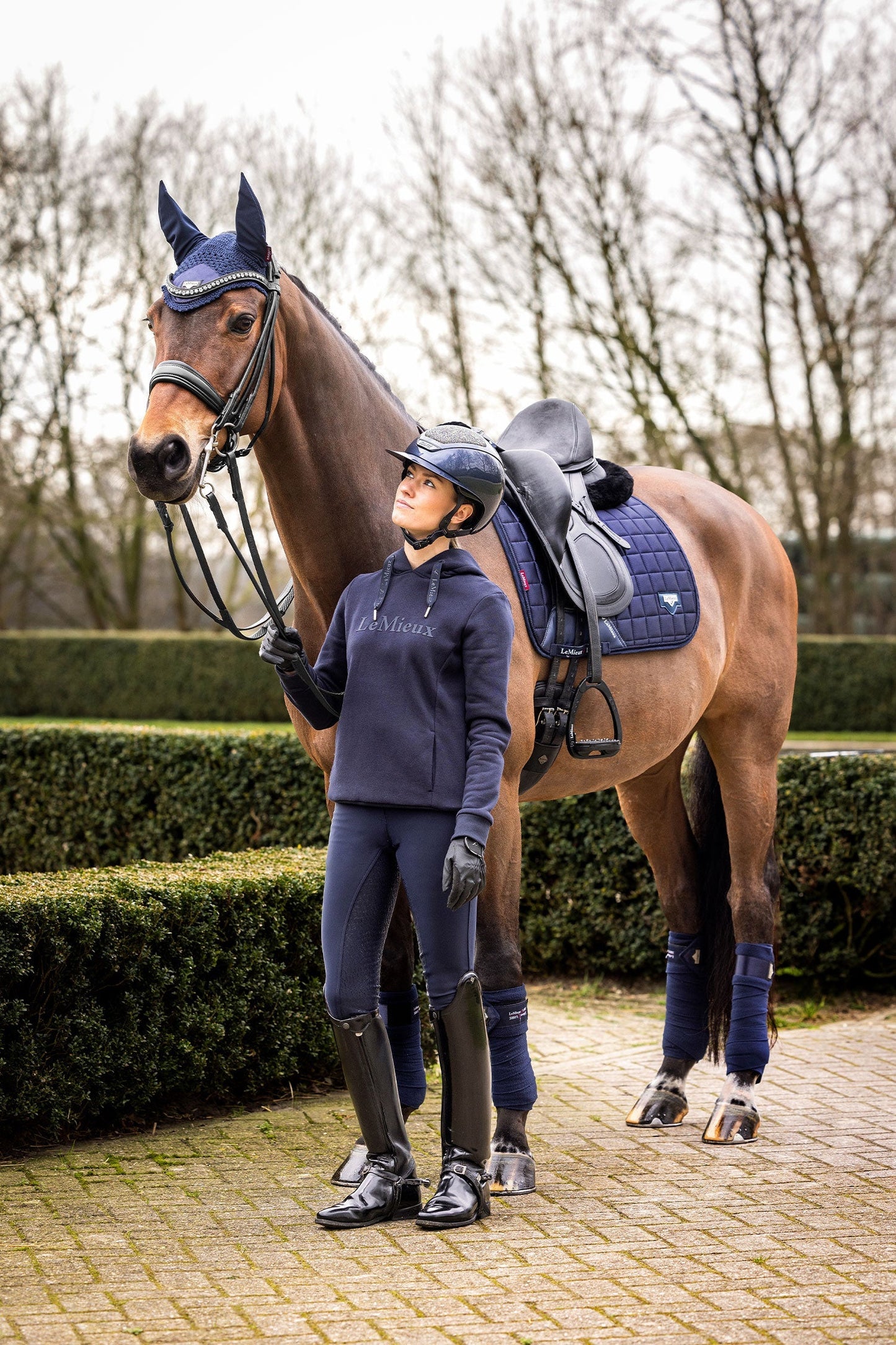 Loire Classic Dressyrschabrak