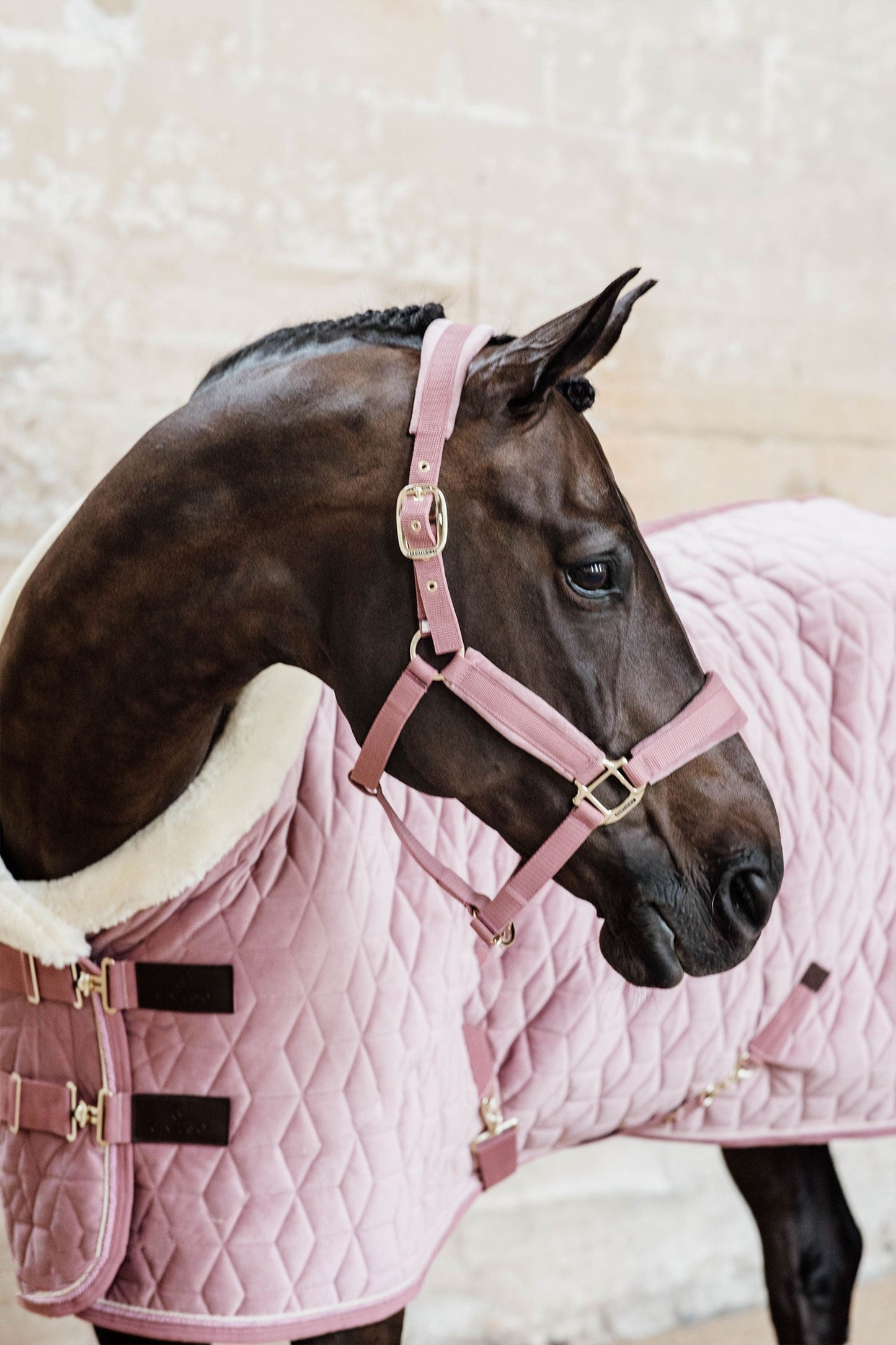 Show Rug Velvet 160g