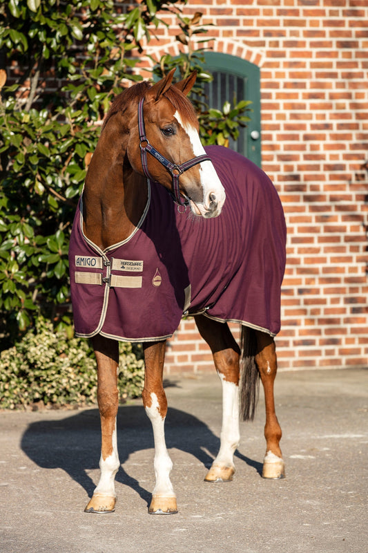 Amigo Stable Sheet X-Gjord