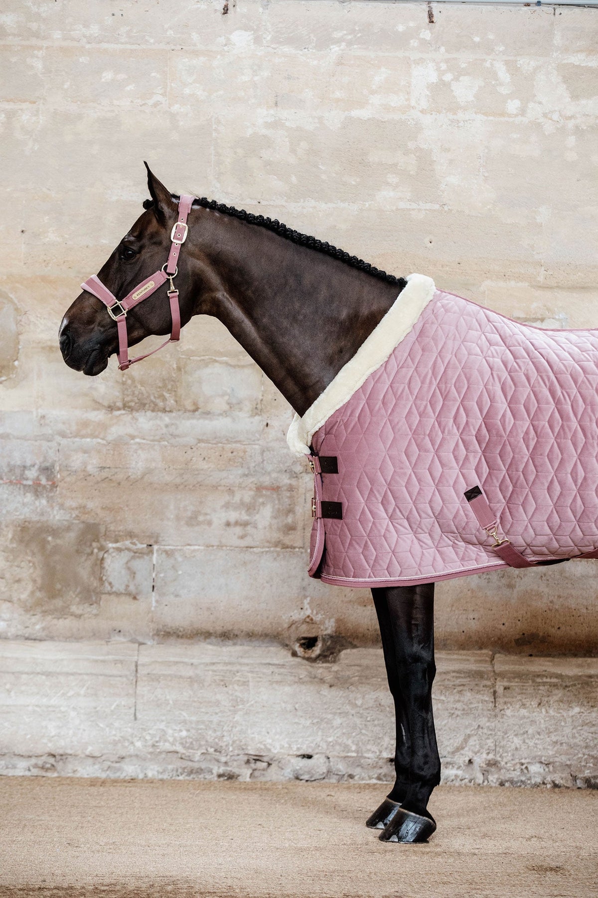 Show Rug Velvet 160g