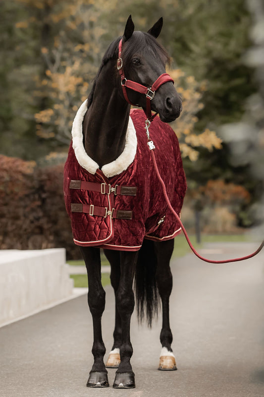 Show Rug Velvet 160g