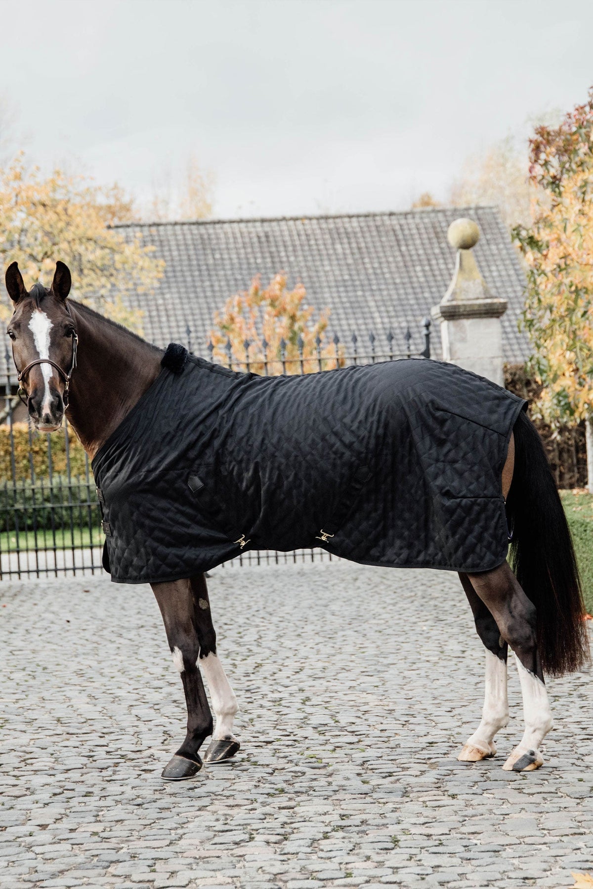 Stalltäcke 0g