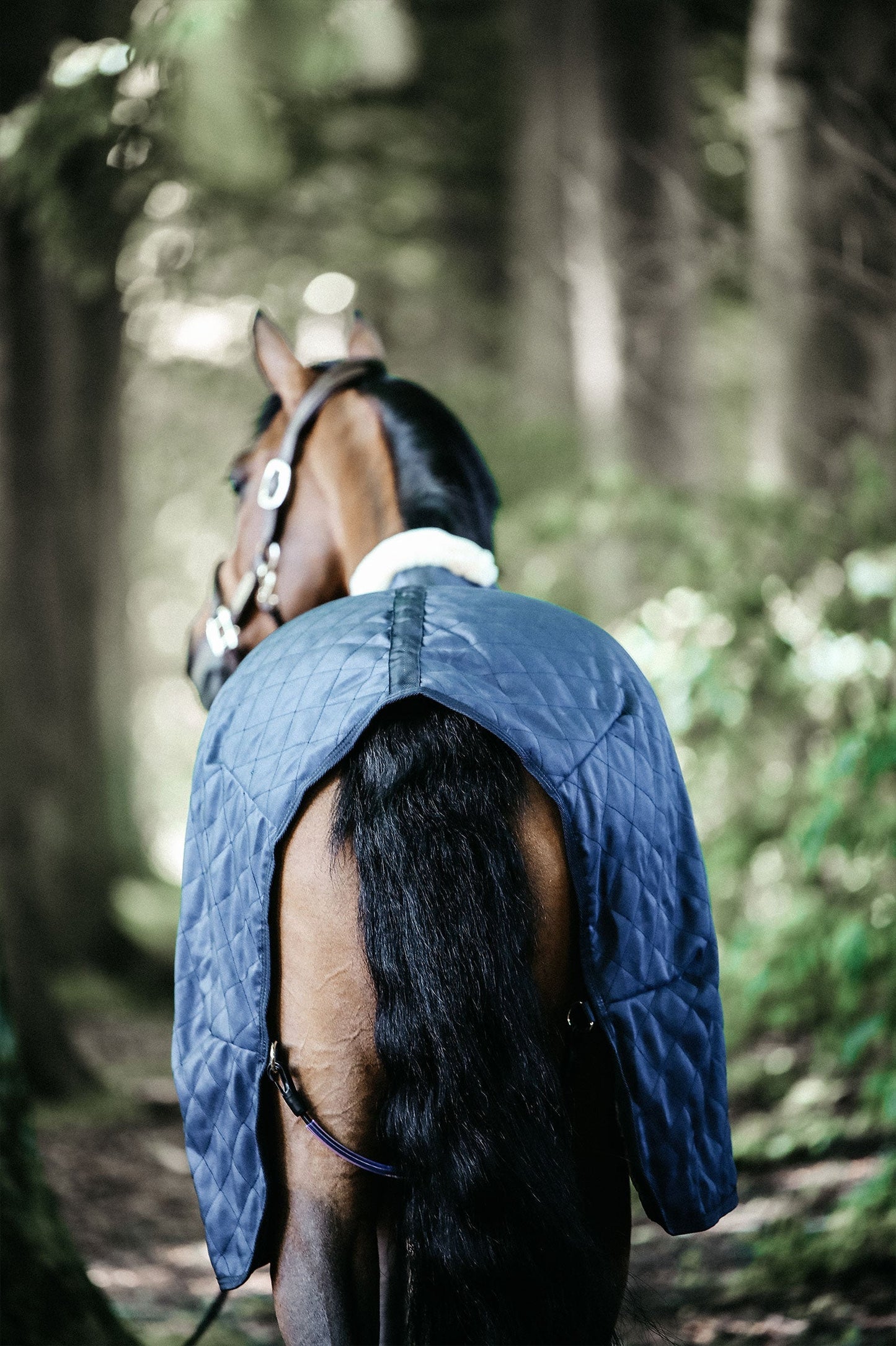 Stalltäcke 0g