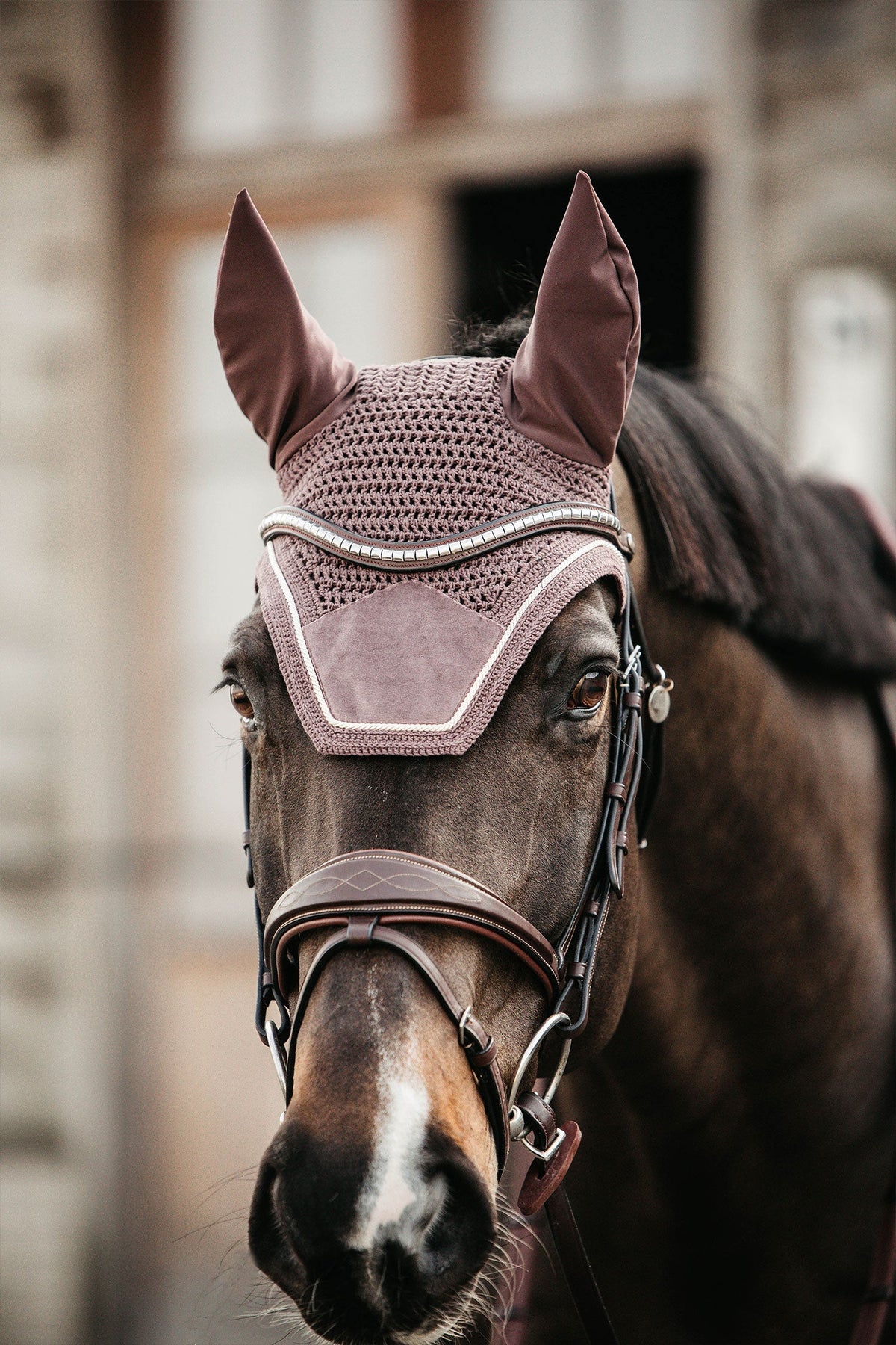 Wellington Huva Velvet