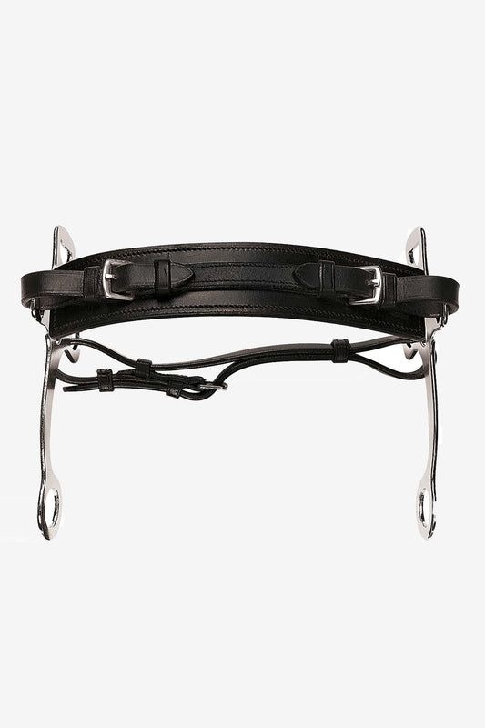 Hackamore